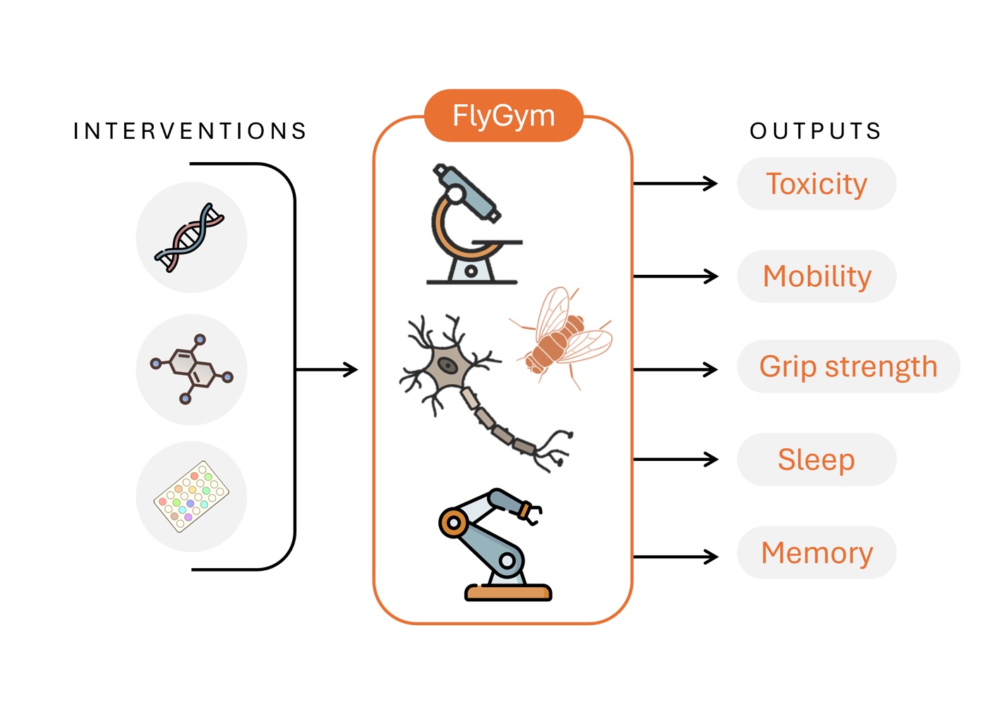 FlyGym en un coup d'œil